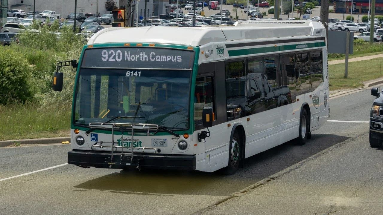 A Durham Region Transit bus in DRT livery on Kingston Road in Pickering, Ontario; no people visible.